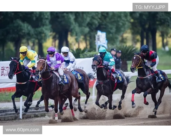 武汉足球队在联合会杯中的速度表现分析与评价